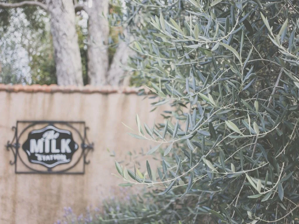 Gallery | The Milk Station | Photography by Jenny Siaosi